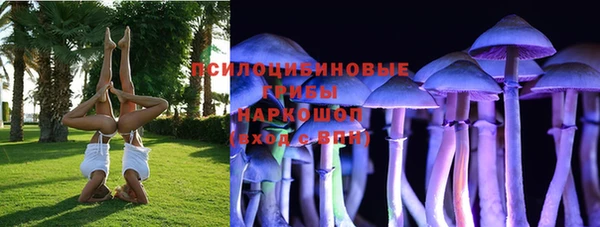 скорость mdpv Каменка