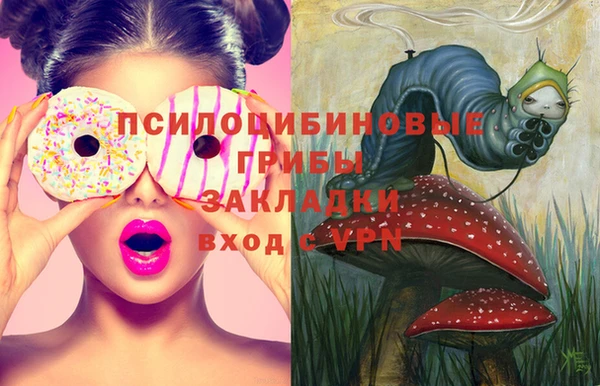 гашишное масло Каменск-Шахтинский