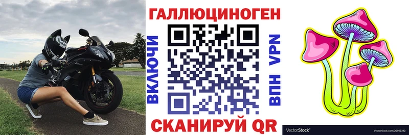 Псилоцибиновые грибы MAGIC MUSHROOMS  Купить где  Морозовск 